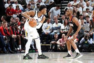 性国内层