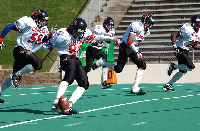 有一些优秀 有一些优秀