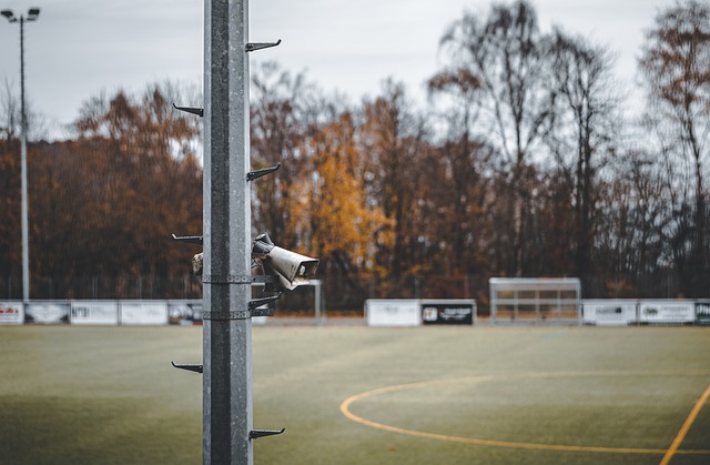 对抗黄蜂的 对抗黄蜂的