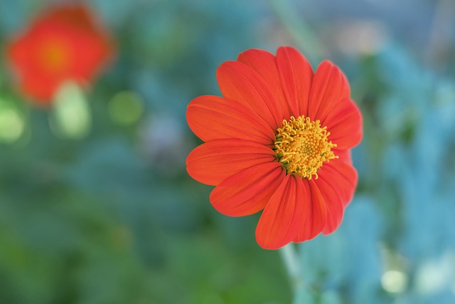 测试中脱颖 测试中脱颖