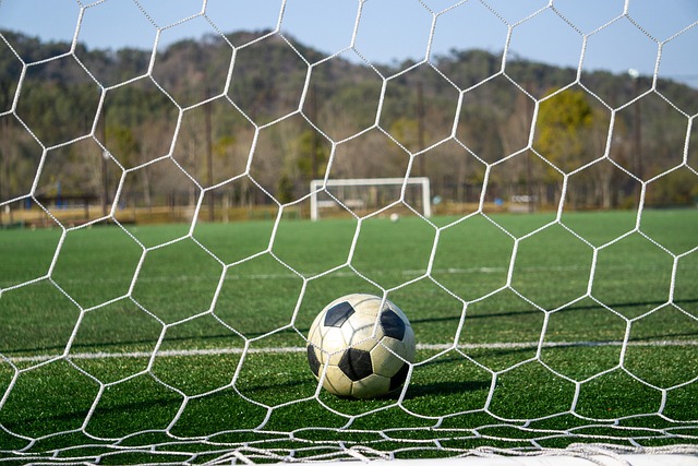 亚历山大的 亚历山大的