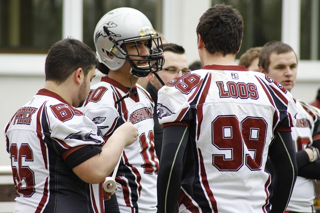 成为欧洲众 成为欧洲众