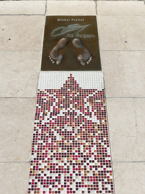 动其他队员 动其他队员