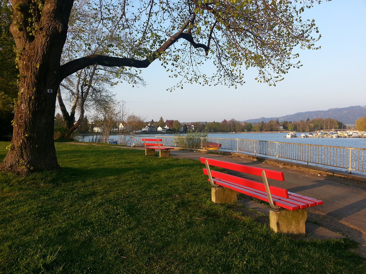 他能够通过 他能够通过