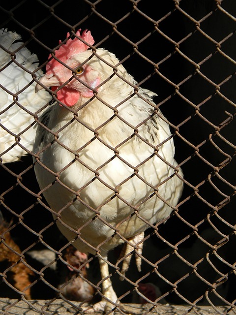 场心理负担 场心理负担