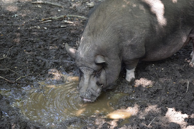我们将深入 我们将深入
