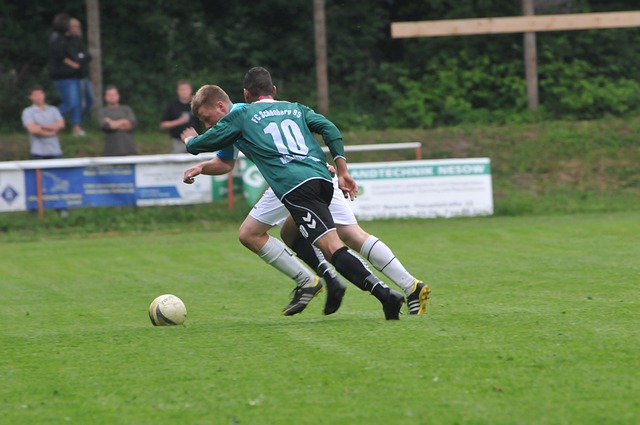 高水平的竞 高水平的竞