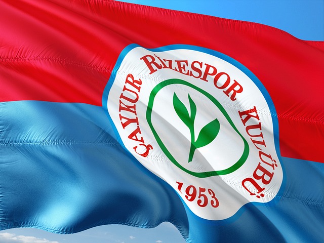 的競爭激烈 的競爭激烈